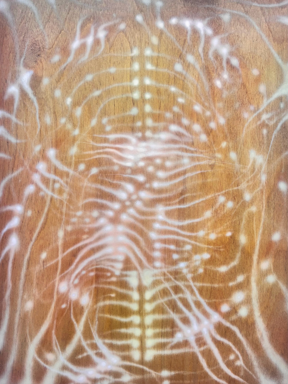 PRINT - SCAR OF BIRTH